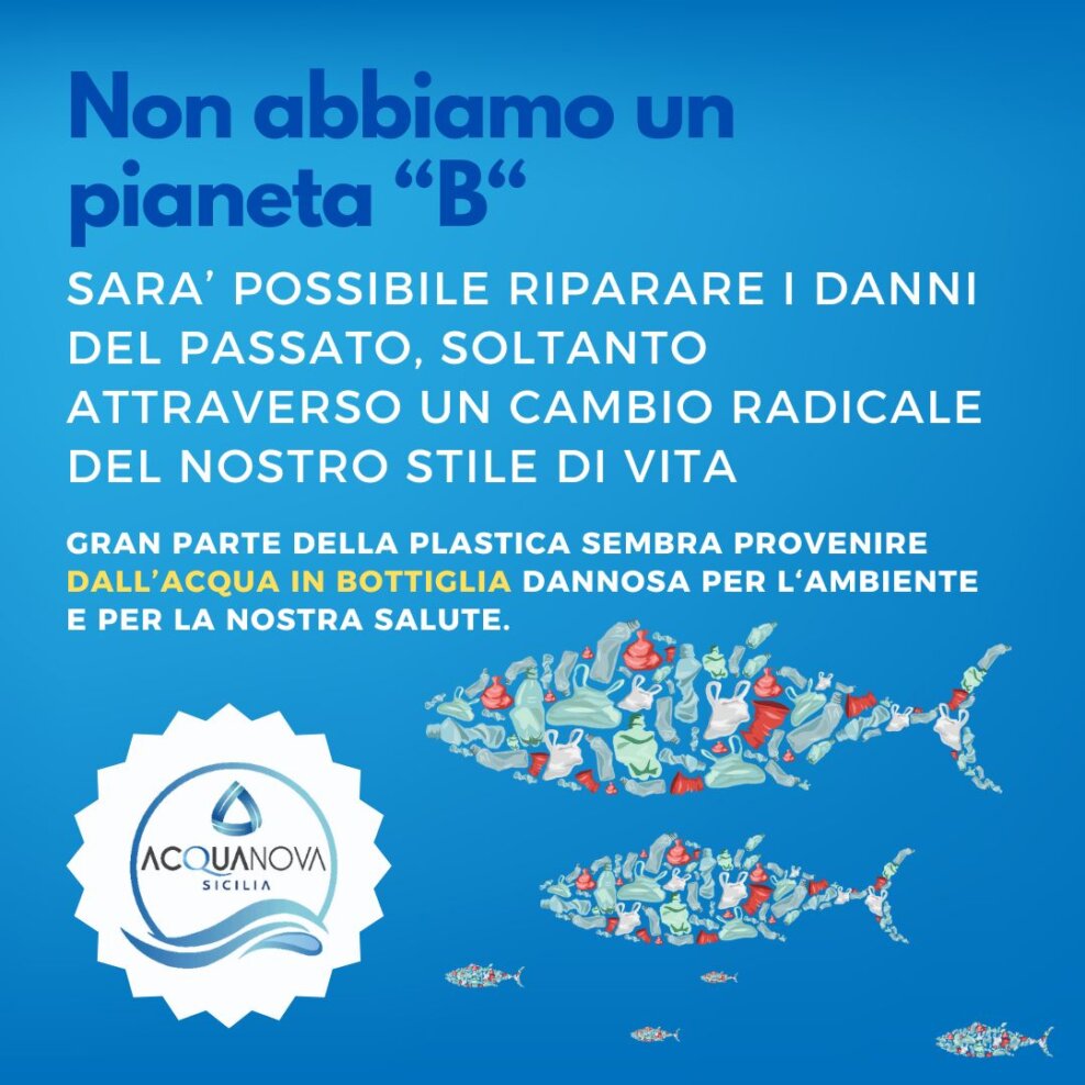 Allarme sul rischio di ingerire microplastiche ma soprattutto nanoplastiche attraverso il co 2 7jfzwpw0ubh3id7jg6tfvfnephzl7bjhvp Acquanova Sicilia - Dispositivi per il Trattamento dell'Acqua potabile 2025